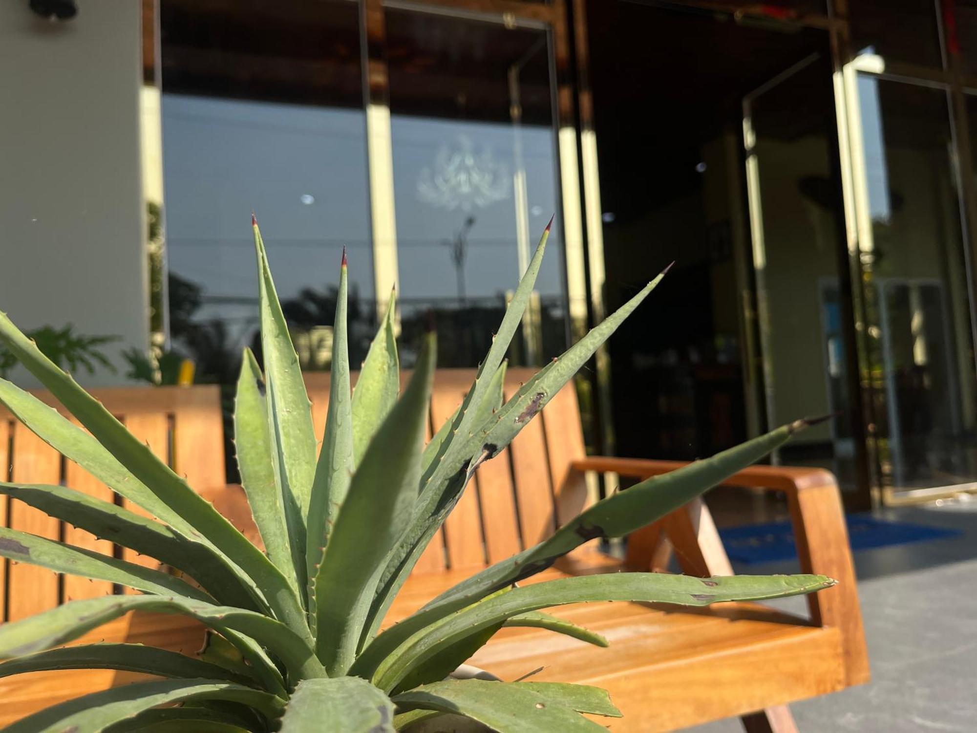 Kep Sea View Hotel & Sky Bar Dış mekan fotoğraf